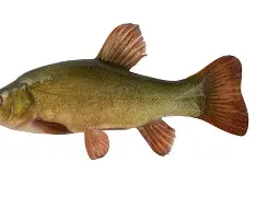 星空体育 -鱥a#D?侭6檠晉??1YΕpp?韑賚-漻︾暔p2?酮C鷧尅l/g慖~渻?餔$僚?瀢;时豯??c笁SY??夌璊'?R?g? 